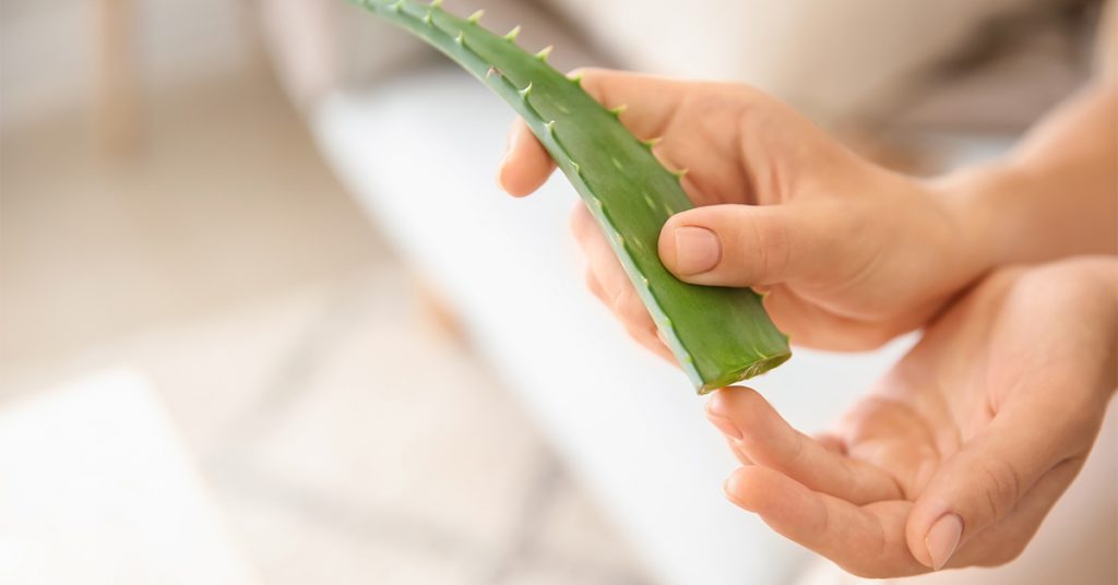 Can You Use Aloe Vera As Lube