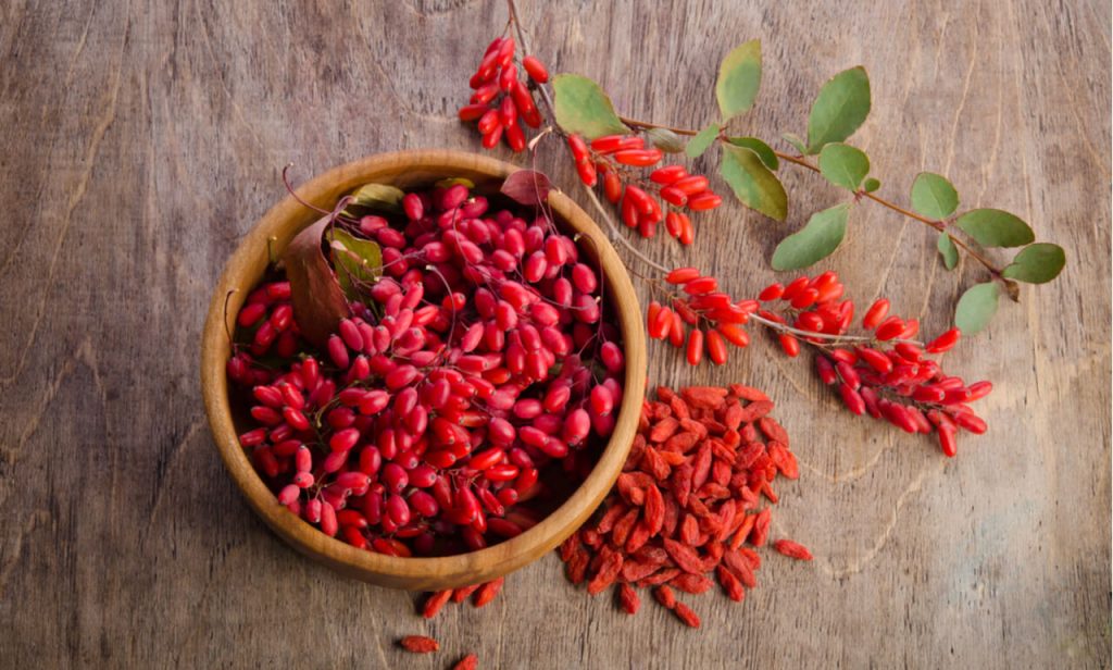 What Are the Benefits of Goji Berries?